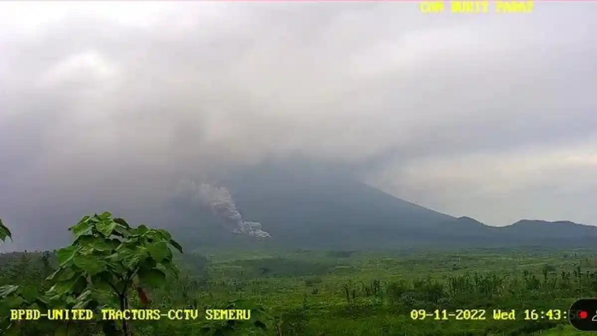 Pagi Ini Gunung Semeru Erupsi, Tinggi Kolom Abu Membumbung 600 Meter