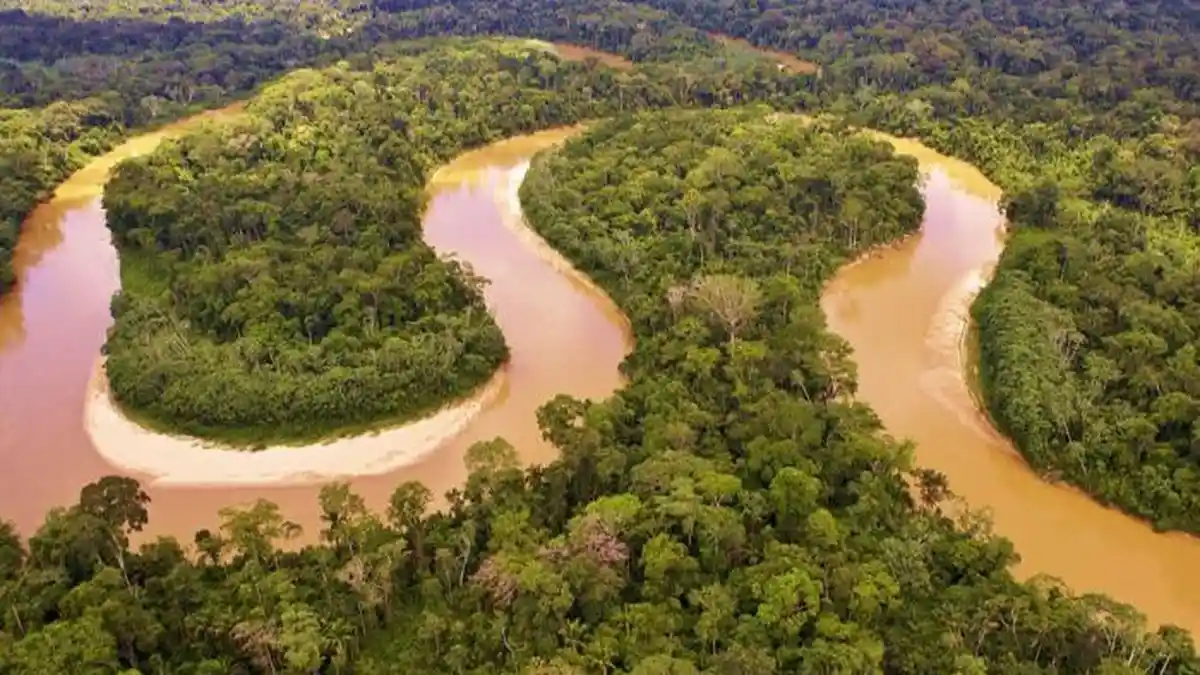 Daftar Sungai Berbahaya di Dunia, Ada Amazon hingga Sungai Kongo