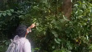 HUTAN-KAYU-LARA-Ekosistem-Hutan-Penelitian-dan-Wisata-Kayu-Lara-al.jpg
