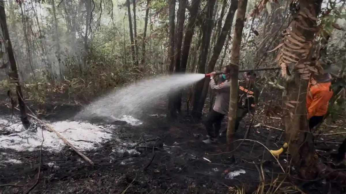 Karhutla Bakar 0,6 Hektare Lahan di Dusun Pana Sanggau, Tim Gabungan ...