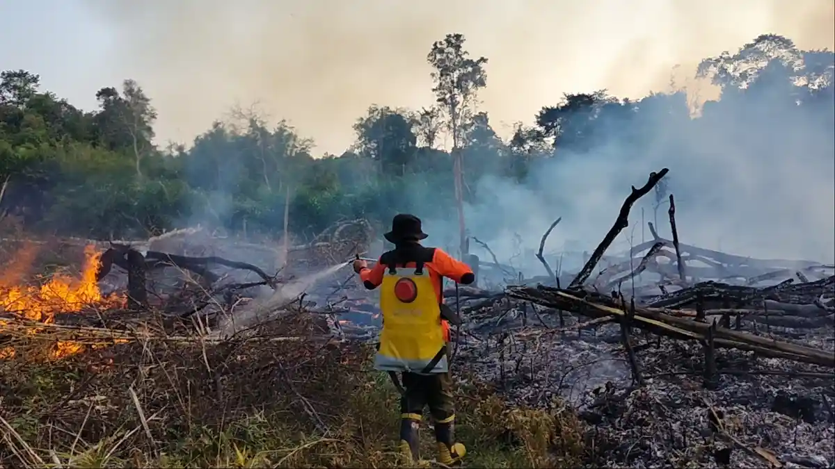 Meski Kabupaten Sarolangun Sudah Masuk Musim Penghujan, Karhutla Masih Terpantau