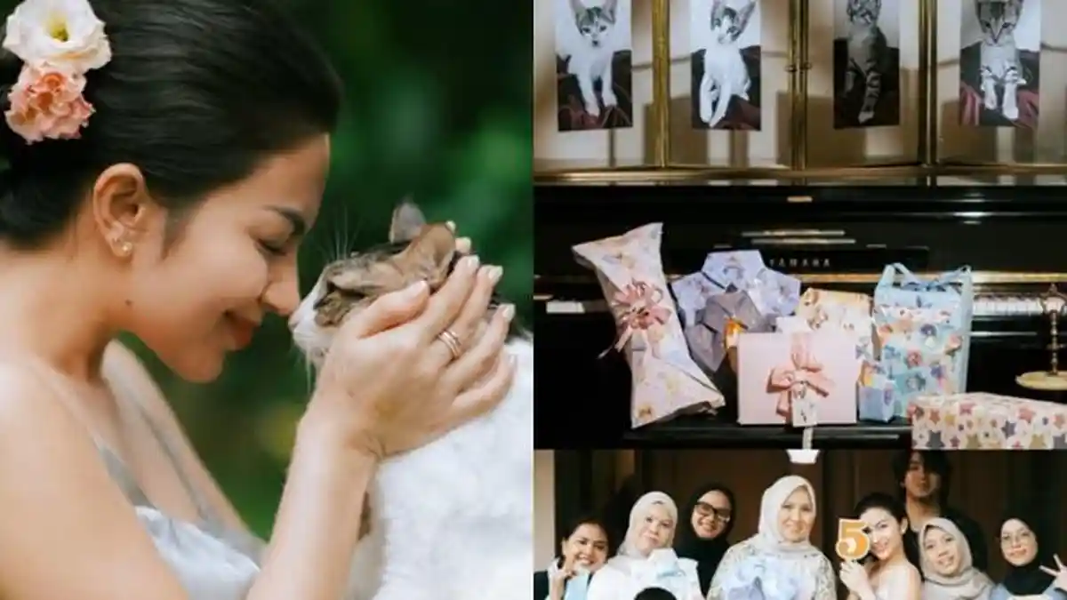 Unik, Ariel Tatum Potong Tumpeng Rayakan Ultah Ke-5 Tahun Kucingnya, Sekaligus Donasi Steril Gratis - Tribunsumsel.com