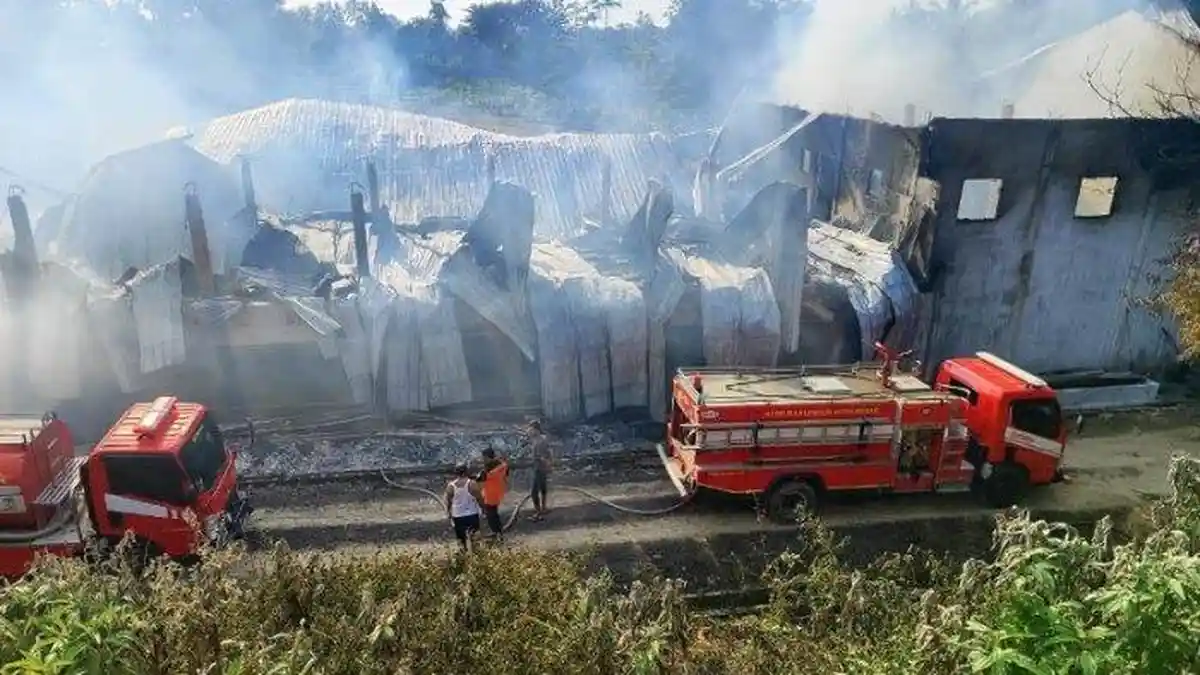 KANDANG Ayam Terbakar, 6.000 Anak Ayam Nyaris Terpanggang