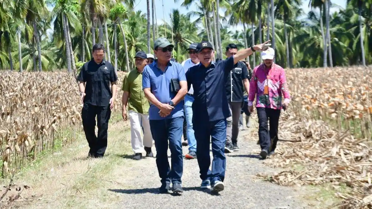 Protokoler Presiden Cek Persiapan Kedatangan Jokowi di Pohuwato Gorontalo