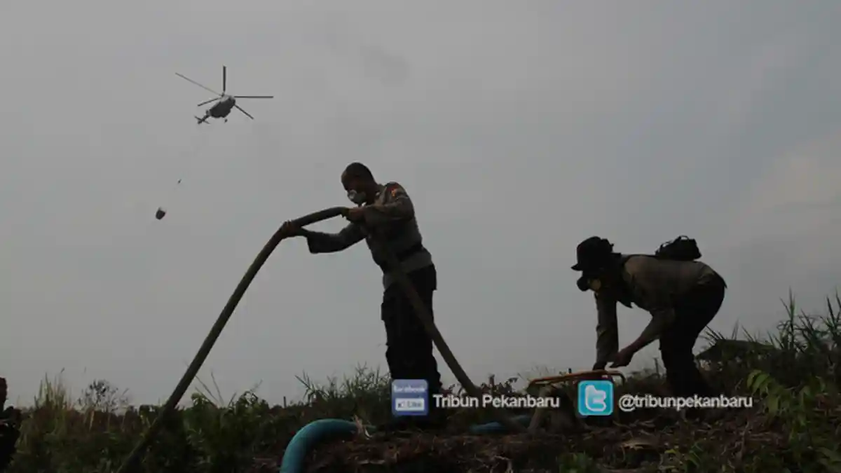 Tim Gabungan Padamkan Kebakaran Lahan di Bagan Keladi Dumai