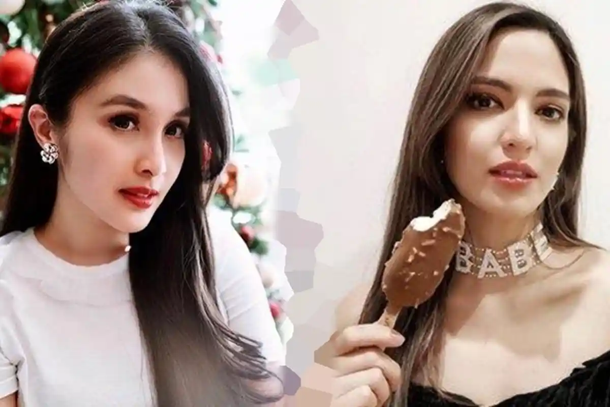 Intip Beda Suasana Rumah Mewah Sandra Dewi dan Nia Ramadhani, Ada yang Dilengkapi Banyak Studio