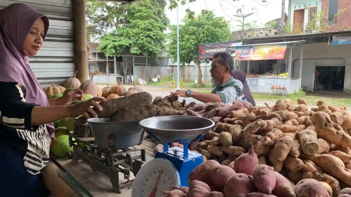 Pedagang Ubi di Jenggik Semringah, Ramadan Undang Untung hingga 70 Persen