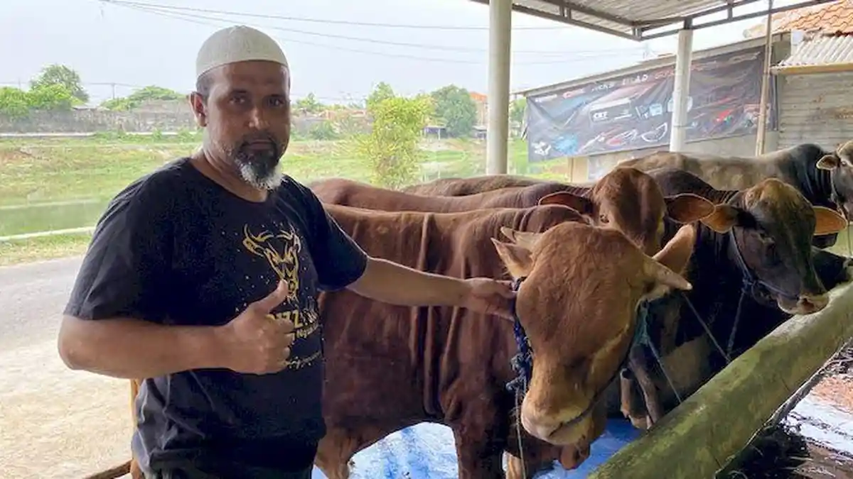 Penjual Hewan Kurban di Indramayu Kebanjiran Order Jelang Hari Raya Idul Adha, Cek Harga di Sini