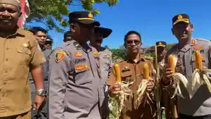 Jagung-780ihk.jpg