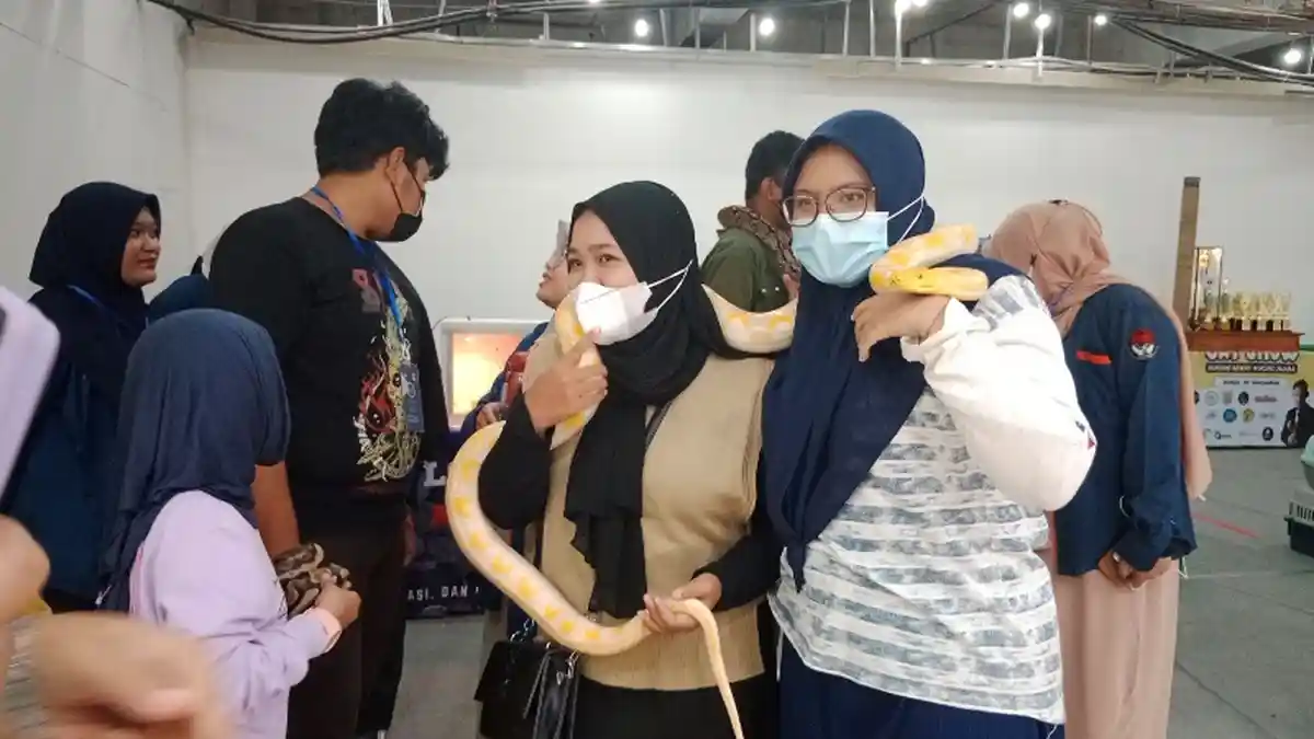 Ular Piton Albino Lavender Jadi Primadona dalam Kontes Banda Aceh Pet Festival