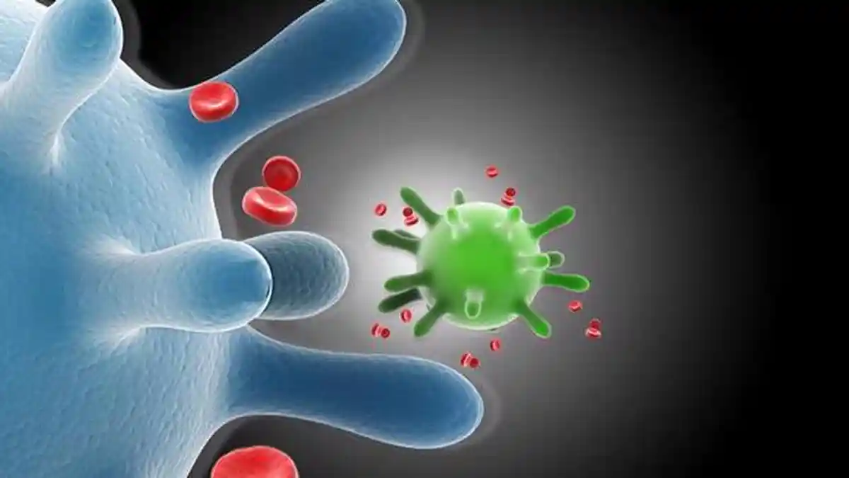 Indonesia Masih Masuk Wilayah Endemis Hepatitis A, Begini Cara Pencegahannya
