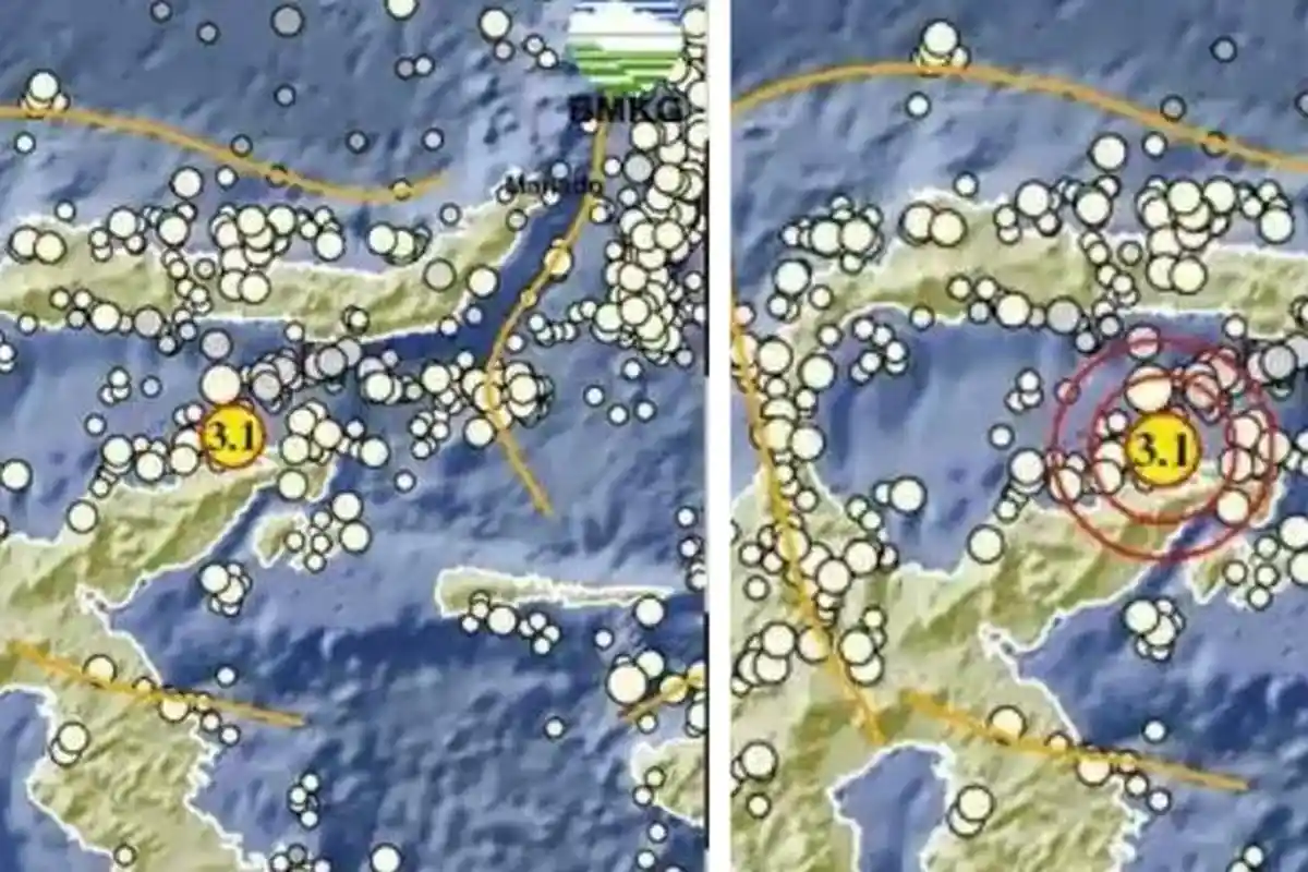 Baru Saja Gempa Magnitudo 3.1, Pusat Gempa Beberapa Menit Lalu di Banggai Kepulauan Sulteng