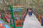 WISATA-MANGROVE-Wisata-Mangrove-yang-ada-di-Desa-Mundu-PesisirS.jpg