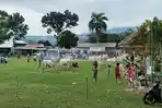 Hewan-Kurban-di-Kotamobagu-sgherhty.jpg