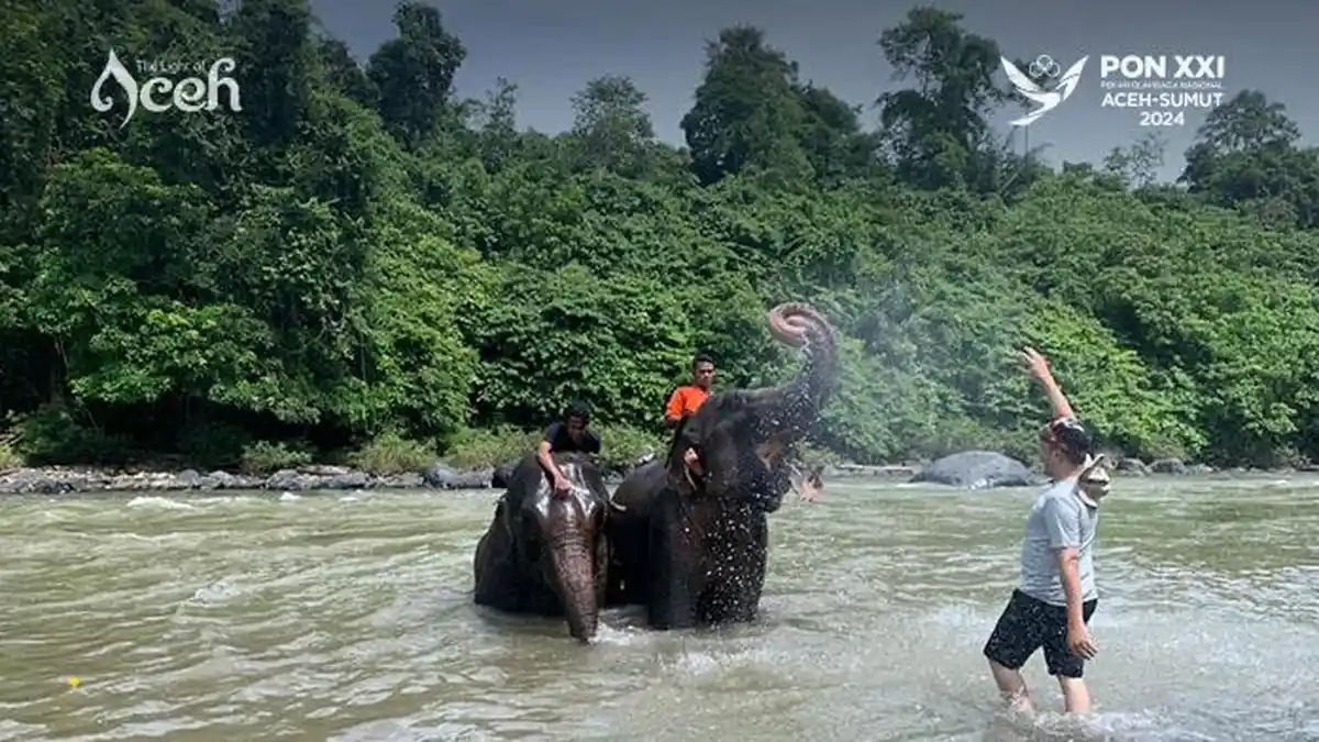 CRU DAS Peusangan, Bermain Arung Jeram hingga Mandi Bersama Gajah di Little Afrika-nya Aceh