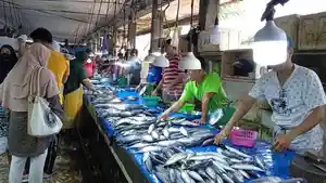stok-ikan-kendari-sultra.jpg
