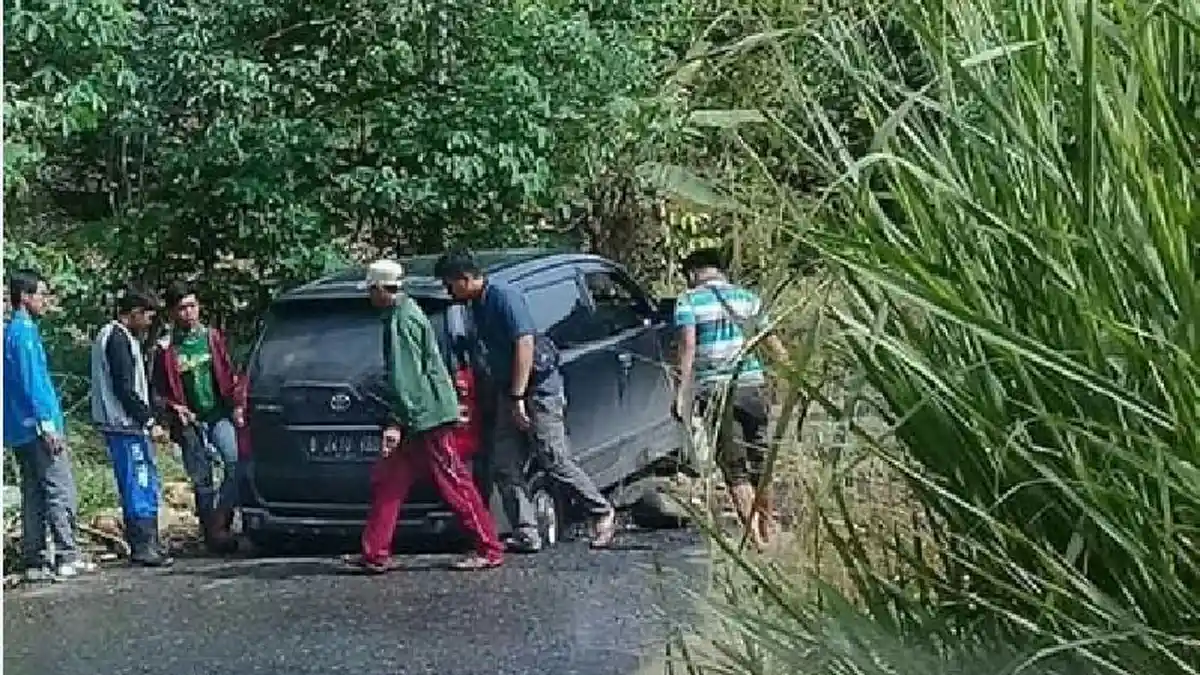 Pengendara Mengeluh Lewat Jalan Simpang Meo-Pulau Panggung, Banyak Lubang dan Rumput Tinggi