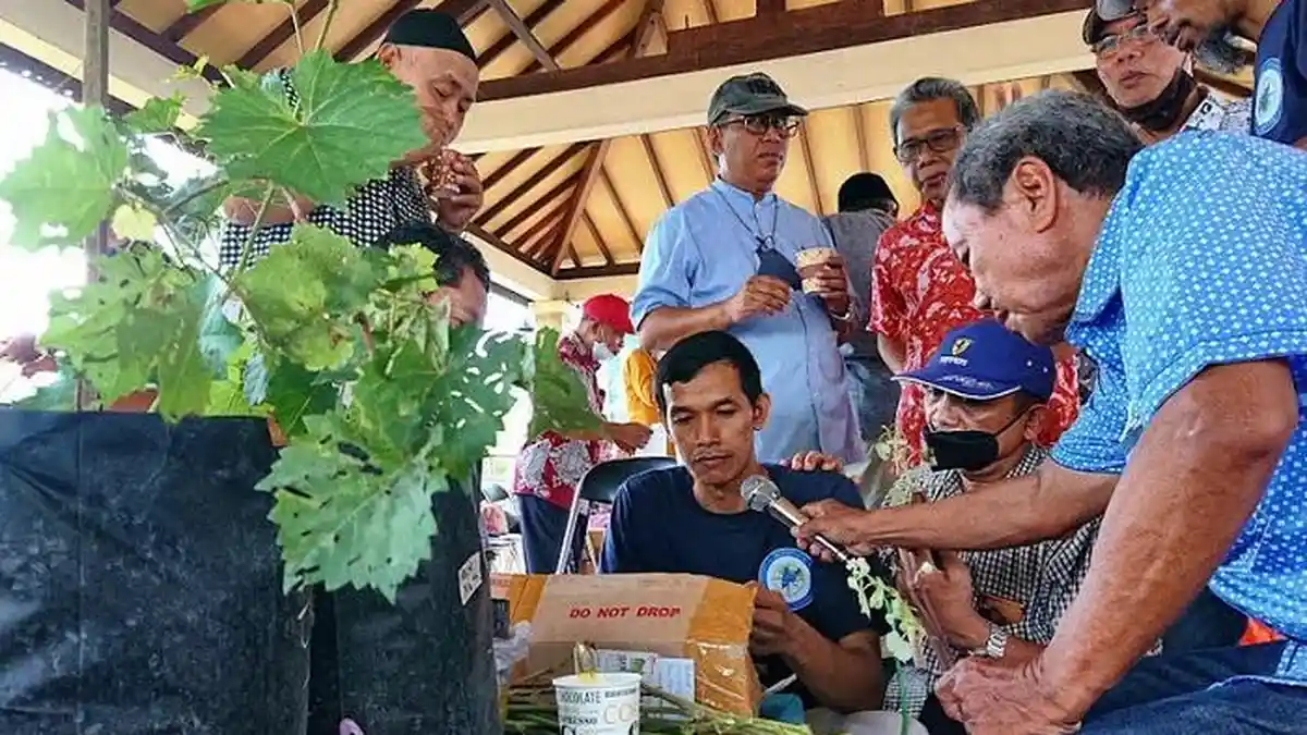 Bisakah Mengikuti Kelas yang Digelar Komunitas Anggur Semarang