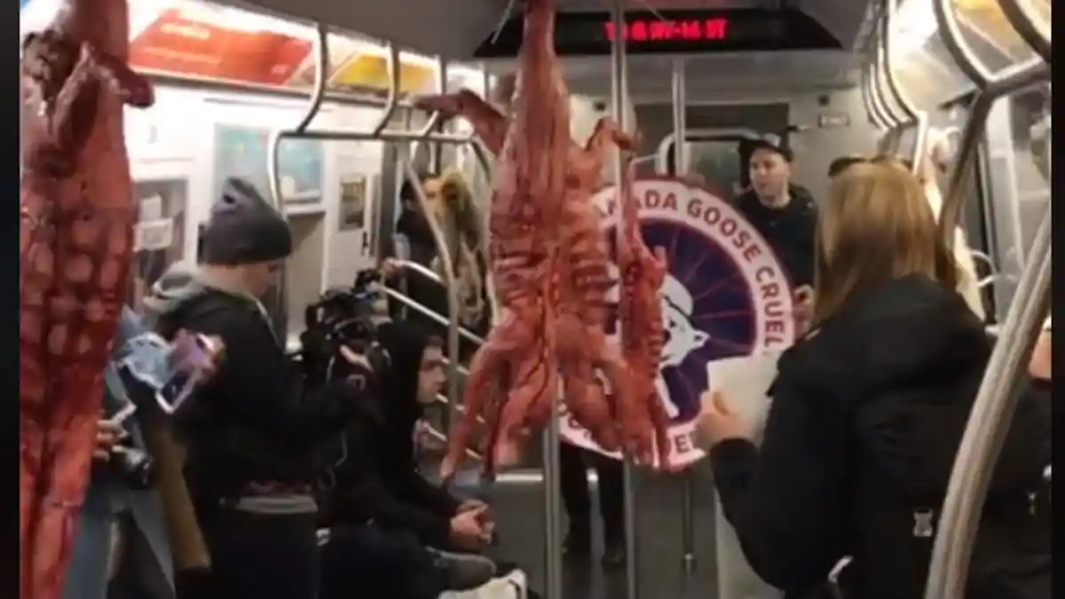 Penumpang Kereta Kaget Gerbong Penuh Hewan Digantung Dan Dikuliti, Ternyata Ini Yang Terjadi