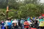 Pohon Tumbang Tutup Jalur Mudik Cicalengka-Nagreg, Kemacetan Parah Terjadi di Kedua Arah
