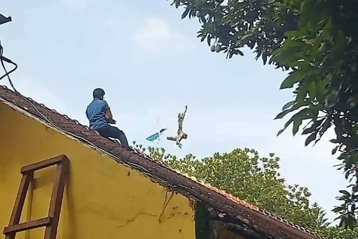 Guru Lapor Dengar Suara Aneh di Atap Sekolah ke Damkar, Proses Evakuasi Disaksikan Para Siswa