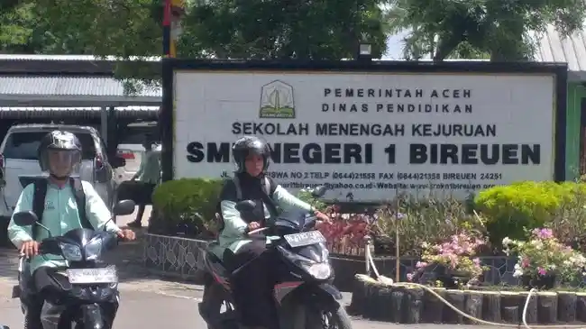 Tribun