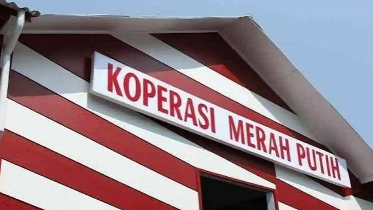 Pegawai Kopdes Merah Putih Mengaku Belum Digaji Meski Sebulan Bekerja, Nominal Upah Masih Misterius - Tribunjambi.com