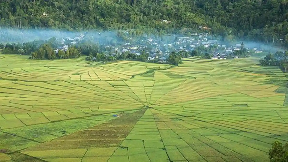 Wisata NTT, Pesona Lingko Meler, Persawahan Corak jaring Laba-Laba yang Mempesona di Mangarai
