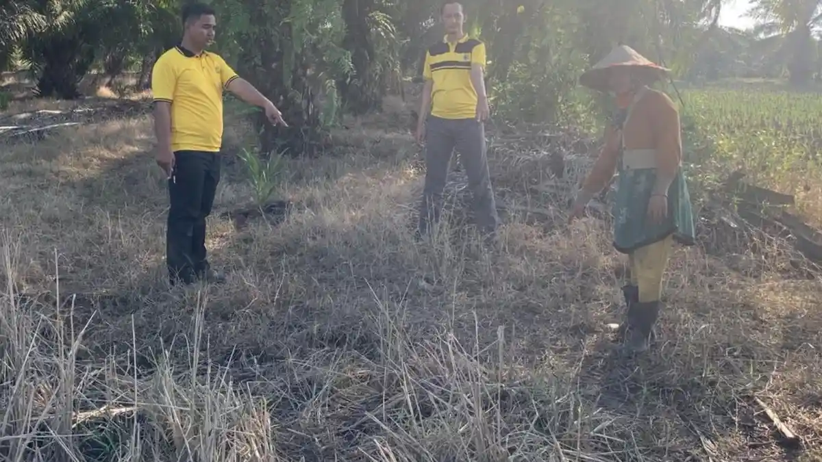 Curi Motor, Warga Jabung Diringkus Polsek Pasir Sakti