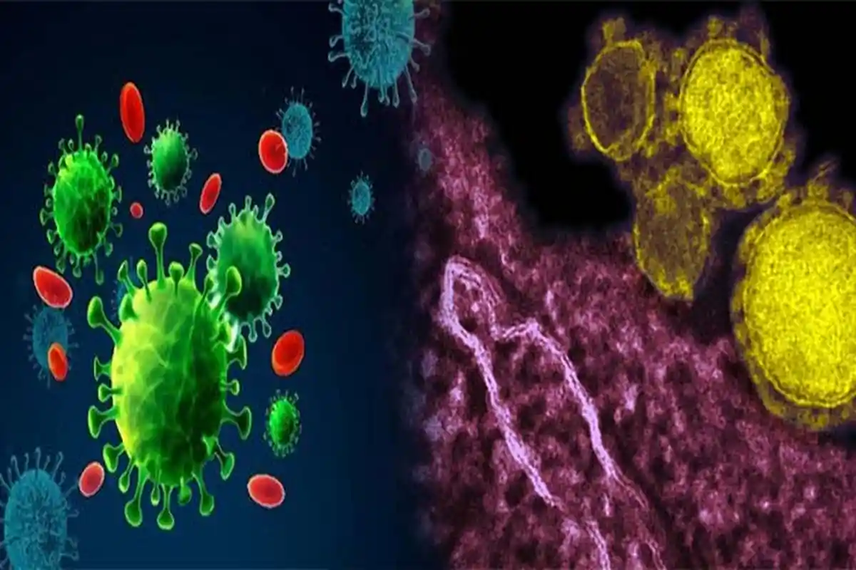 Arti Resistensi Antimikroba, Penyebab Kematian Secara Global yang Sulit Diobati