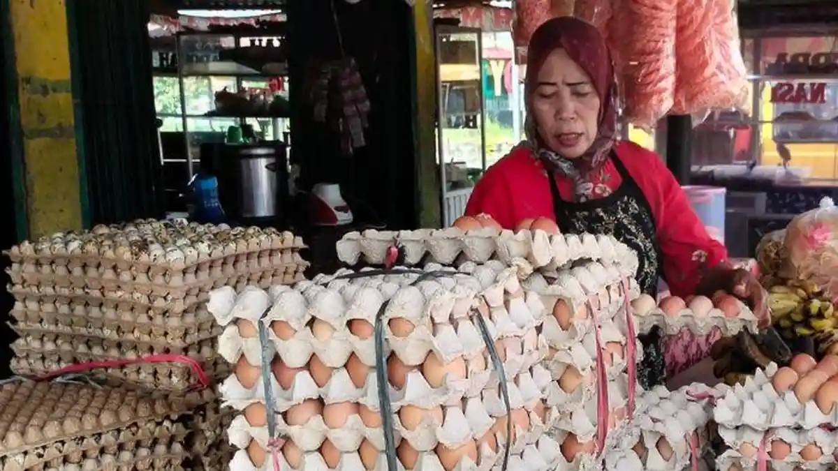 Harga Telur Ayam Ras di Musi Rawas Pada 11 Februari 2026, Kisaran Rp 54 ...