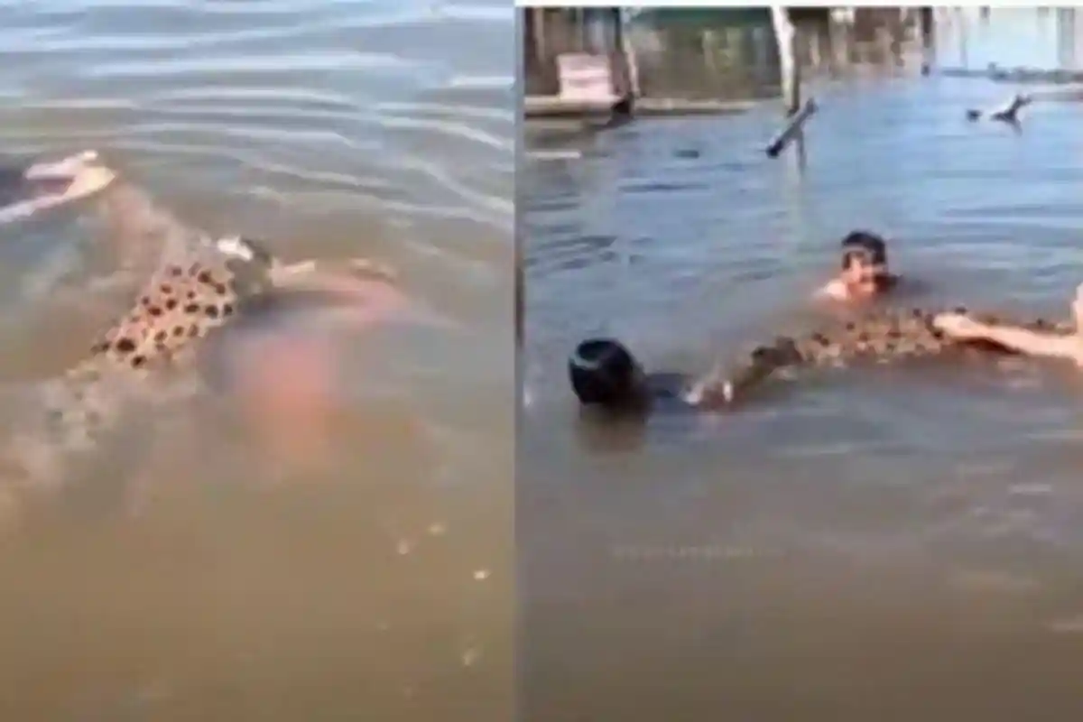 Viral Video Anak-anak dengan Santainya Jadikan Buaya Mainan, Sang Predator Tak Punya Harga Diri Lagi