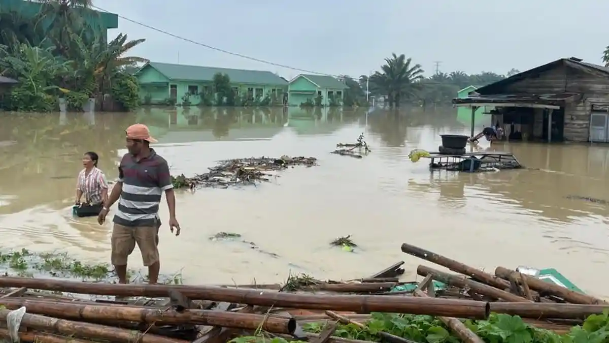 Update Jumlah Korban Banjir Sumatera Kini 753 Orang Meninggal, 3 Bupati Menyerah