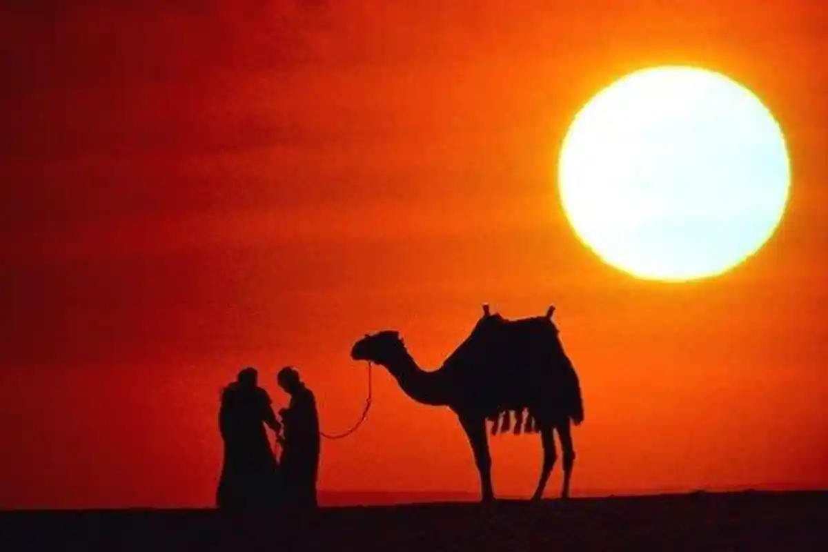 Empat Langkah Cerdas Istri Hadapi Suami yang Tak Mau Mengalah dan Disalahkan dari Pakar Meta Health