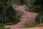 Akses Jalan di Pedalaman Malinau