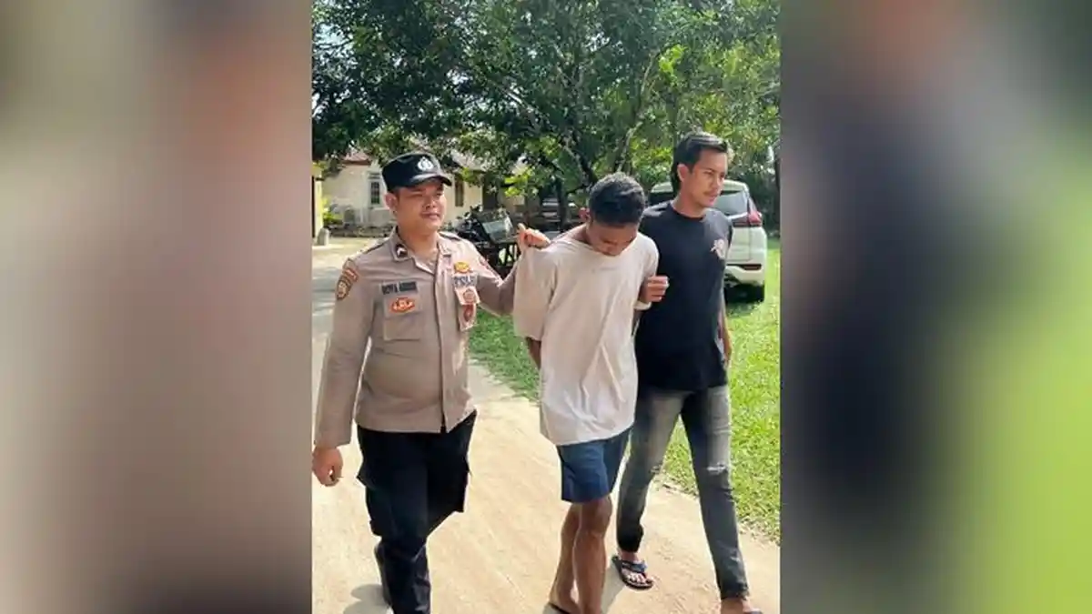 Polsek Payung Bekuk Buronan Pencuri TBS Sawit