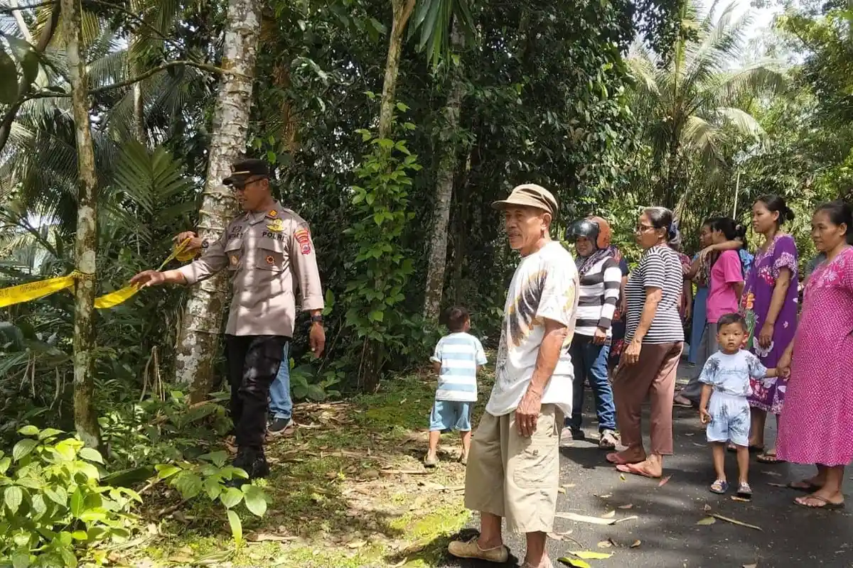 Longsor di Lereng Sungai Logawa Banyumas, Material Setinggi 30 Meter Ambrol Timbun Sawah