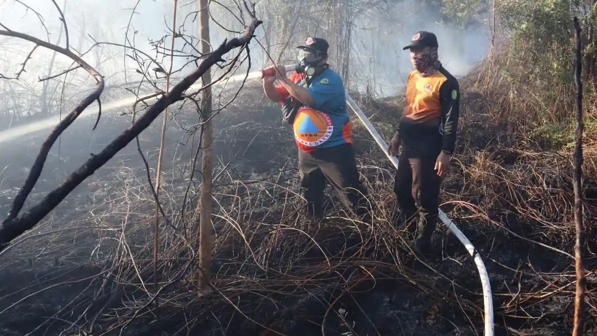 Update Karhutla di Kalteng 11 Agustus 2023, Titik Hotspot dan Lahan Terbakar Terus Bertambah