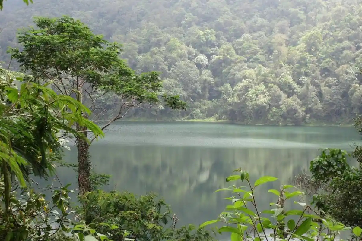 Berada di Ketinggian 1.200 Mdpl, Danau Ranamese Bersemayam dalam Hutan TWA Ruteng Pulau Flores