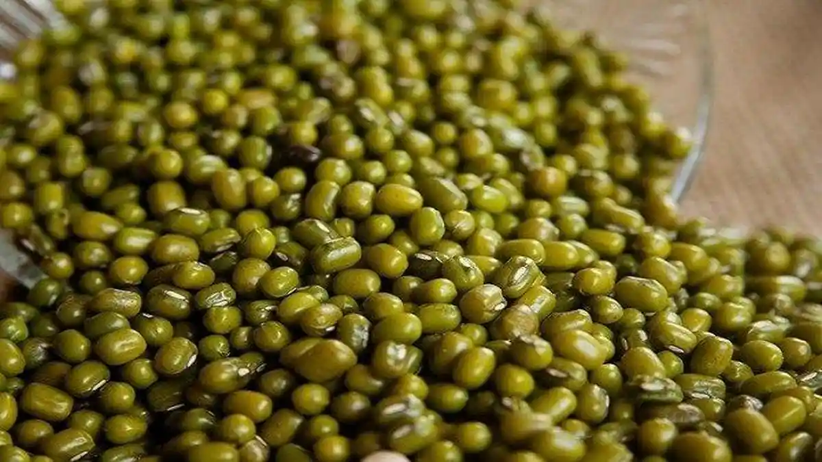 Cara Menurunkan Kadar Kolesterol Darah dengan Konsumsi Kacang Hijau, Begini Pengolahannya