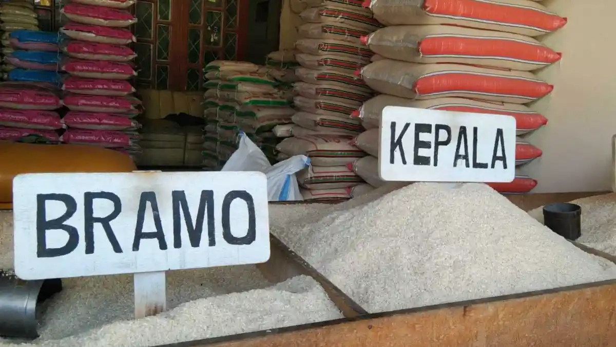 Disperindag Duga Dampak El Nino Picu Kenaikan Harga Beras di Kota Palu
