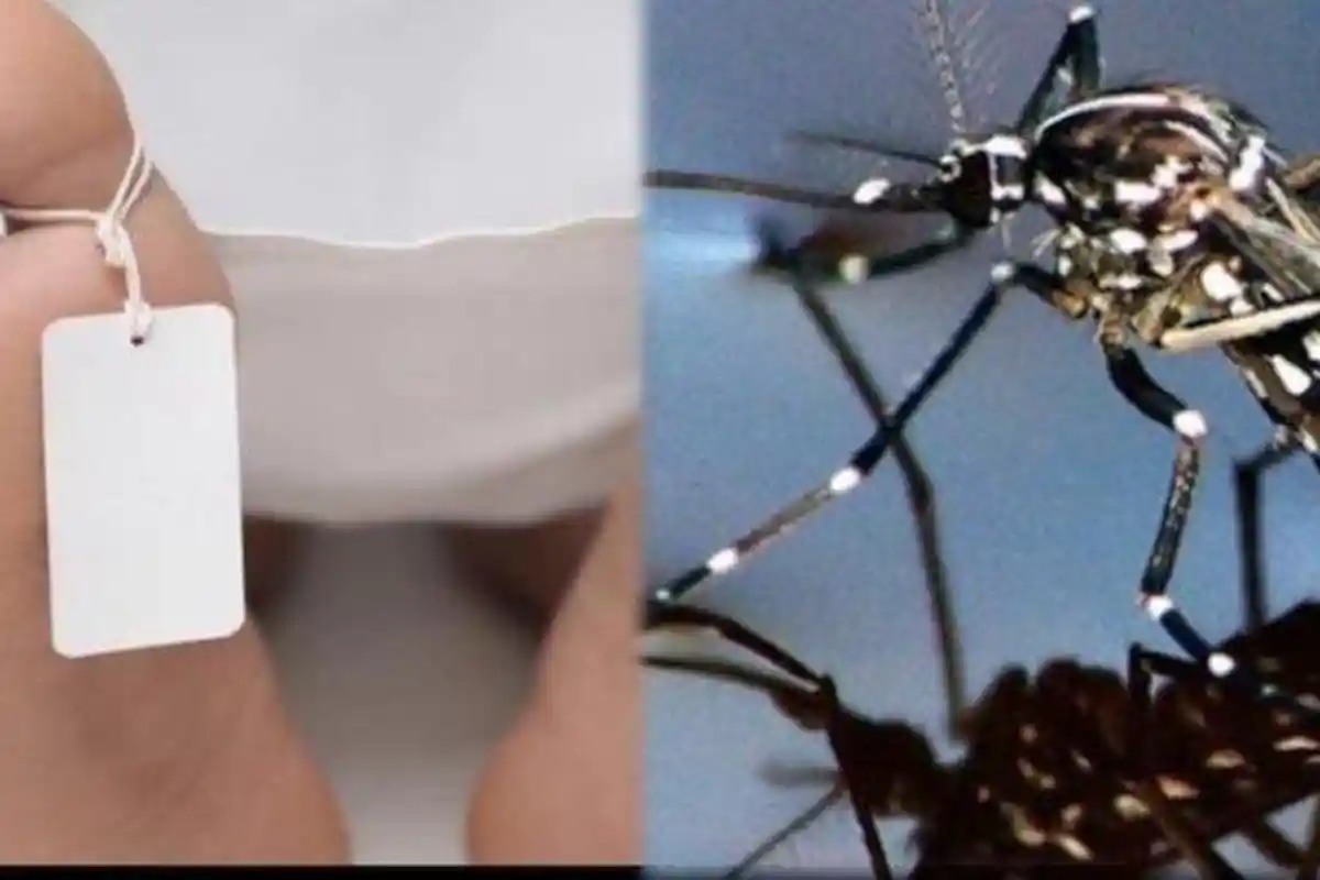 Tahun 2022, Kasus DBD di Karawang Melonjak, Ada 743 Kasus, Delapan di Antaranya Meninggal Dunia