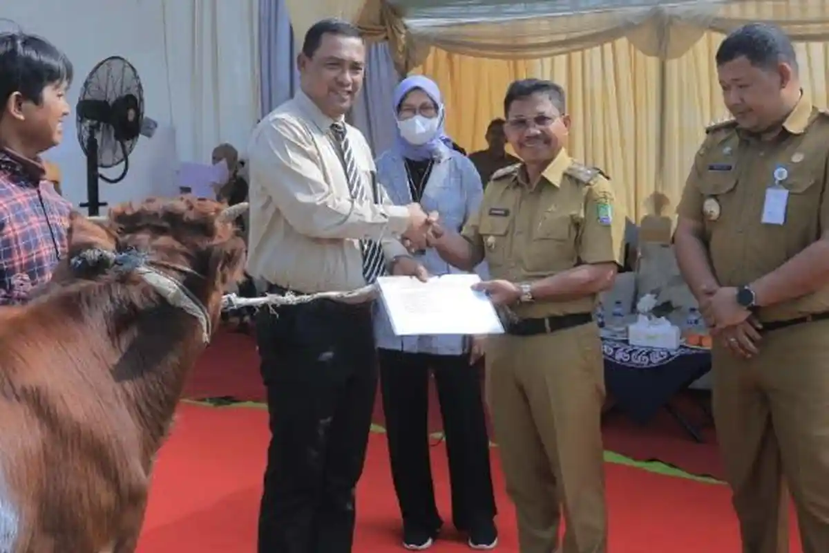 Sambut Idul Adha, RS Sitanala Serahkan 32 Sapi ke Pemkot Tangerang