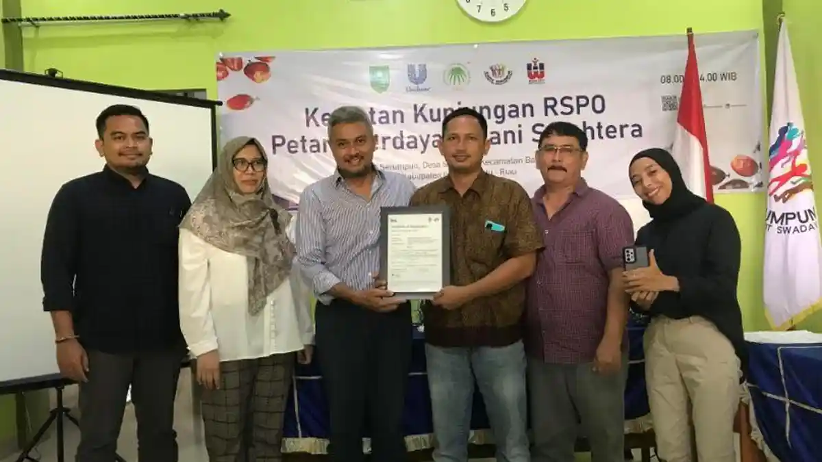 RSPO Kembali Kunjungi Kabupaten Inhu guna Dorong Sertifikasi Pekebun ...
