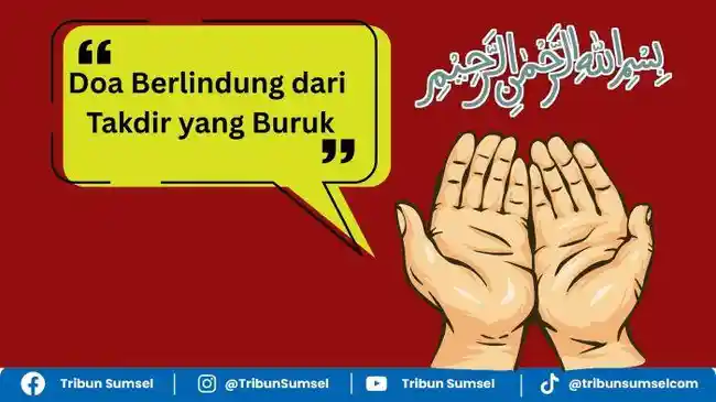 Tribun