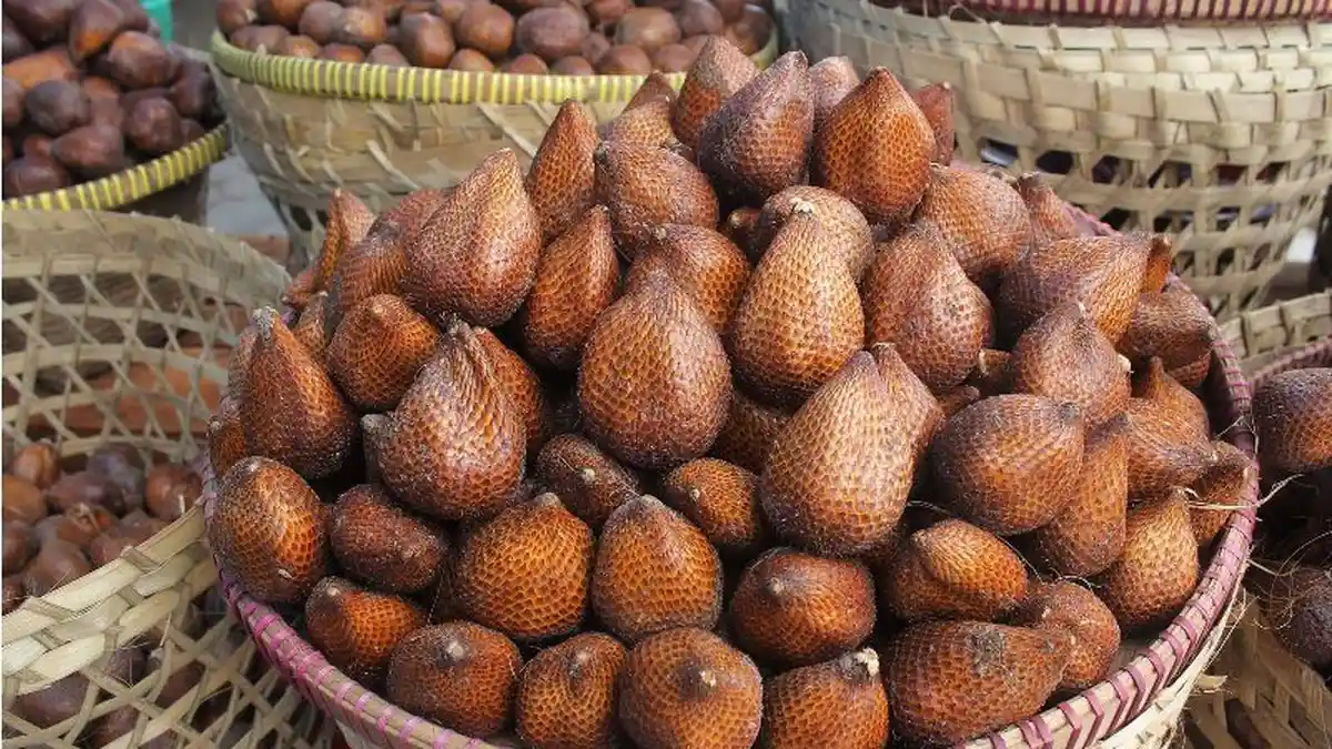 Benarkah Makan Buah Salak Bikin Susah BAB? 