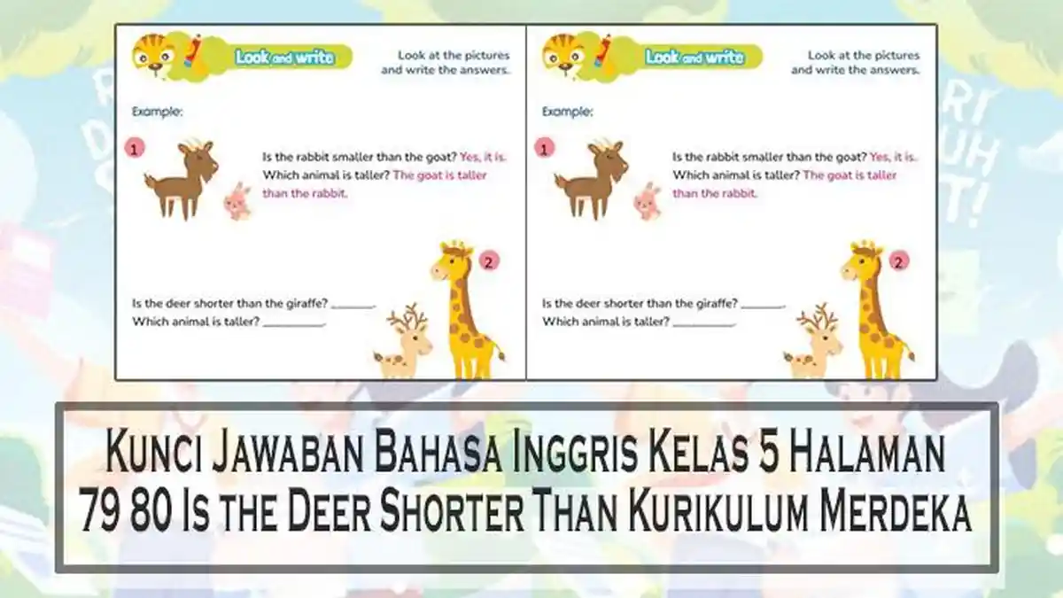 Kunci Jawaban Bahasa Inggris Kelas 5 Halaman 79 80 Is the Deer Shorter ...