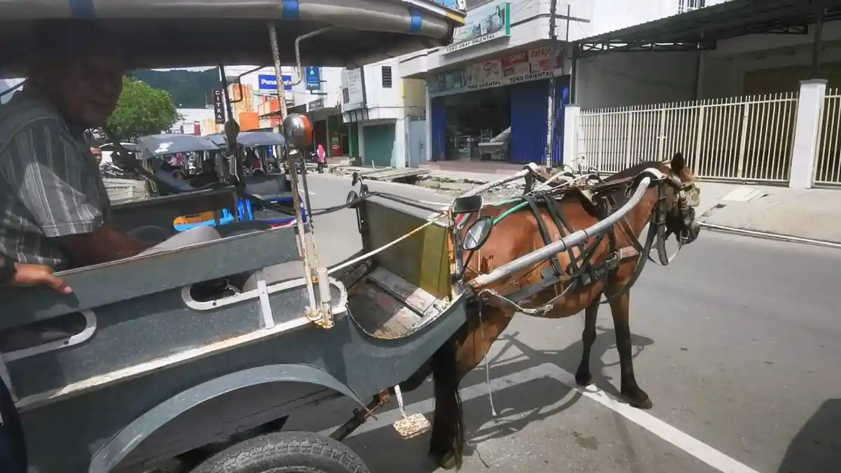 Pemkot Berencana Hadirkan 20 Bendi pada Festival Kota Tua Gorontalo di Oktober 2023 Nanti