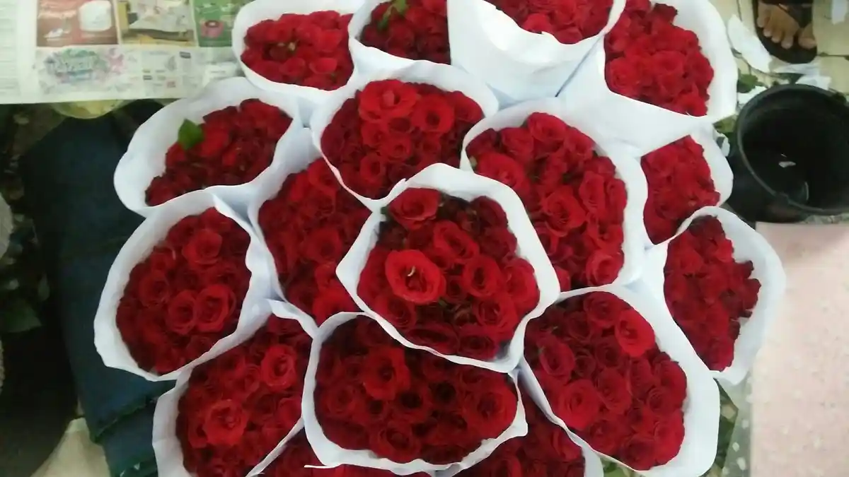 Dikagumi Meski Berduri, Ini Makna Mawar Merah yang Identik dengan Perayaan Valentine