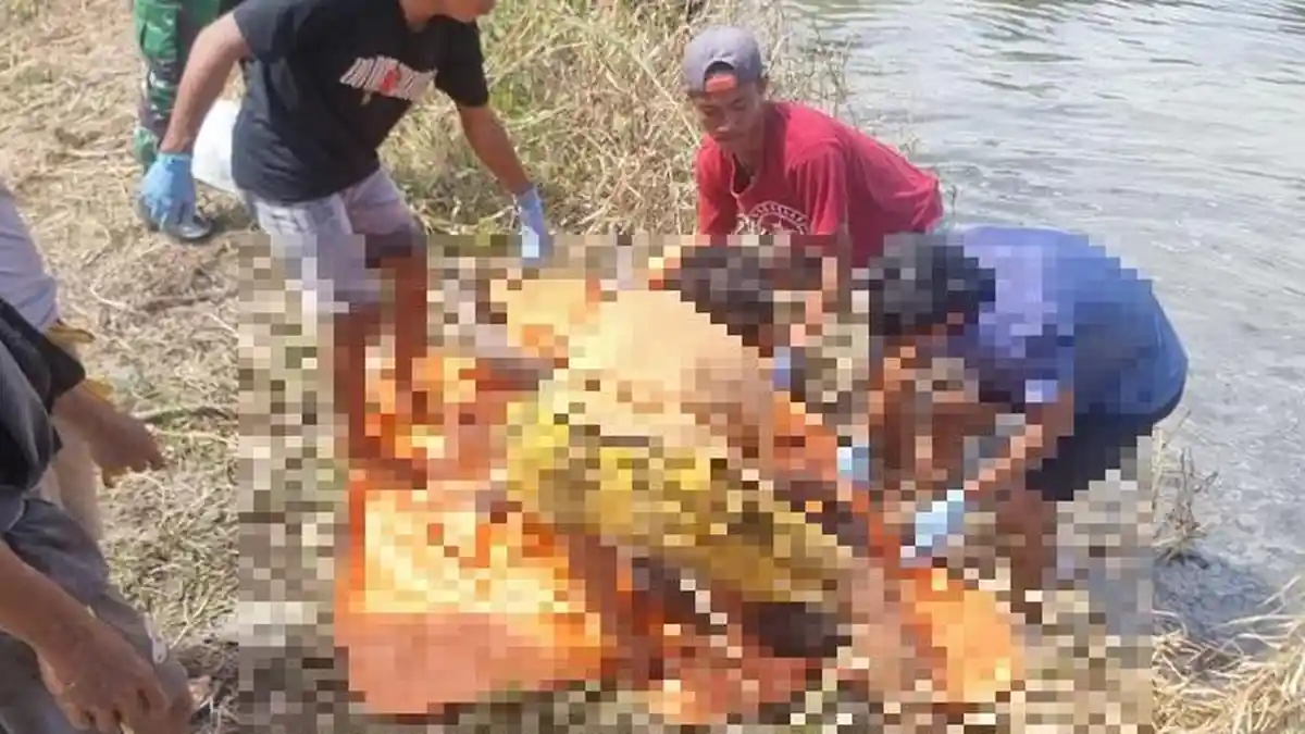 Sempat Dikabarkan Hilang, Jasad Cudding Ditemukan Terapung di Sawah Pinrang